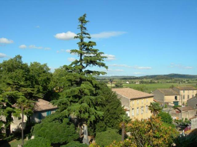 Chambres D'Hotes Le Clos De Venes Saint-Couat-dʼAude Exterior foto